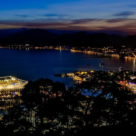 My Dream Hotel 4*